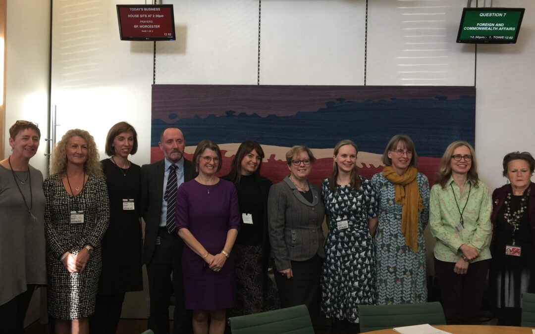 Menopause Roundtable Discussion at Westminster