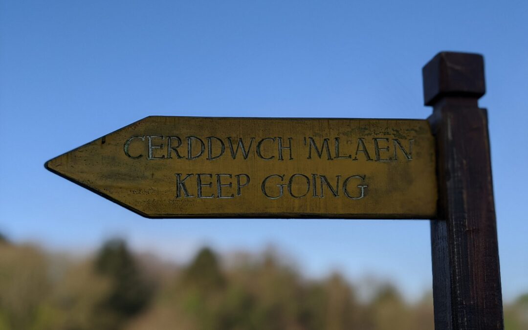 2021-2022 Annual Impact Report Published