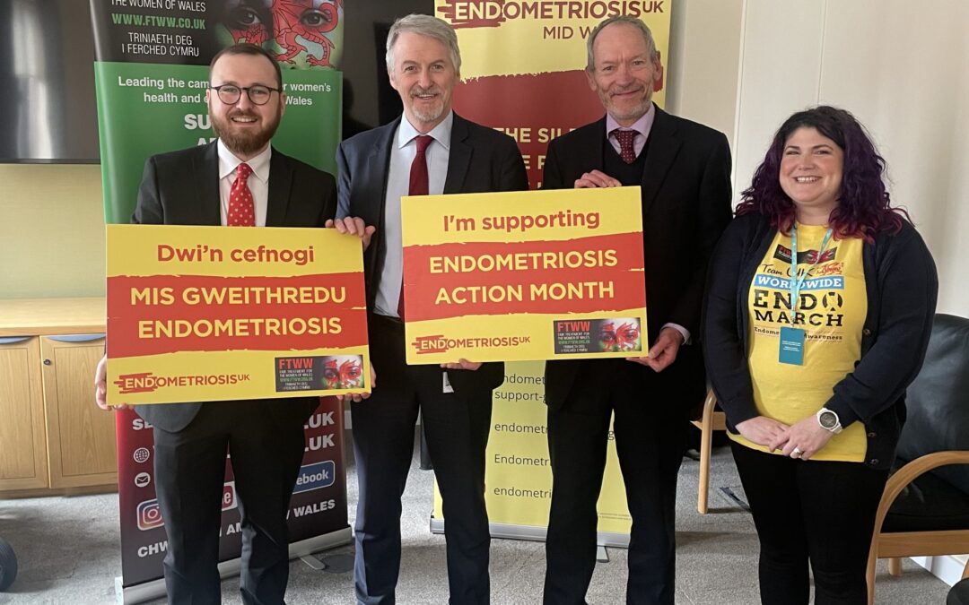 Endometriosis: Invite your MS to meet us at The Senedd