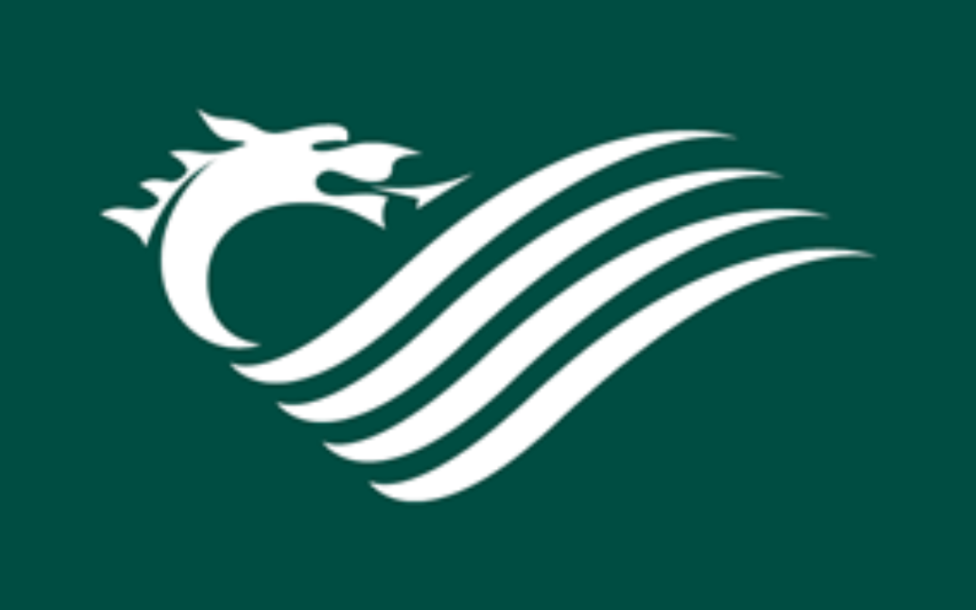 Senedd Inquiry – Supporting People with Chronic Conditions: FTWW members have their say