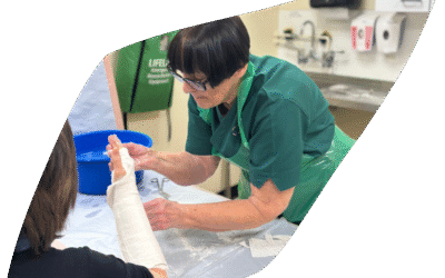 Cardiff and Vale University Health Board 10 year plan: Shaping Services for the Future, Together