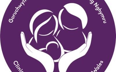 FTWW and Patient Voices at the All-Wales Clinical Supervisors for Midwives Network