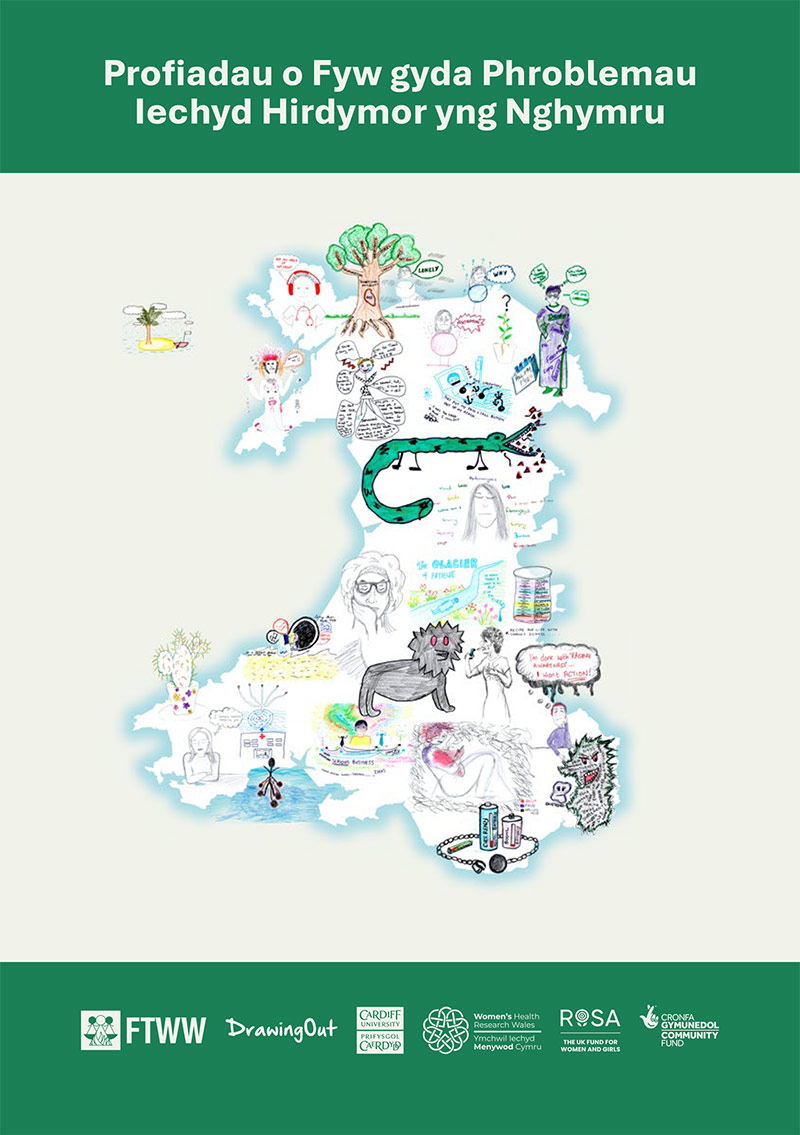 Profiadau o Fyw gyda Phroblemau Iechyd Hirdymor yng Nghymru