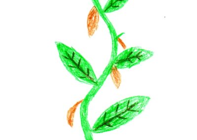 A plant growing out of a white pot with a mixture of green leaves and brown dying leaves. At the top of the plant is a large black question mark.